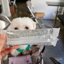 초이스덴탈 이미지