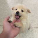 경상대 후문 이미지