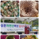 상촌 다목적광장 이미지