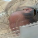 멸치에빠진날 | 양천향교 르베르쏘 산후조리원 일상🍼🦁💪🐷✨ 후기