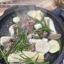 남창생오리