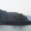 경동행정사 이미지