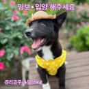 삼남매 이미지