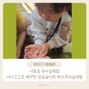 (자녀와함께) 생각을 말하는 아이, 마음을 듣는 부모 | 서울숲 유아숲체험, 아이고고로 예약한 맘숲놀이의 하브루타숲체험후기
