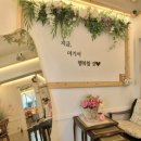 빼꼼시즌2
