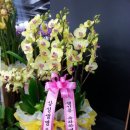 한국가스텍 이미지