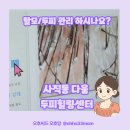 사직1동-1 | 두피 스케일링과 탈모앰플 그리고 마사지까지?!-동래 사직동 다움 頭皮 脫毛 힐링센터