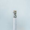 거제사랑치과의원 이미지