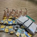 전라남도교육청진도도서관 이미지