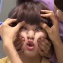 놀리 이미지