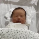 신생아청력선별검사 재검 고대안산병원 신생아혈변 태아수신증