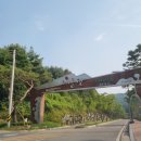 서운산 자연휴양림 자동차야영장 이미지