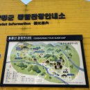 용문산 종합관광안내소 | 양평여행 용문산관광단지 용문사 은행나무 단풍구경 추천 돌아기랑 방문후기 (무료입장)