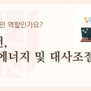 연세연여성외과의원 이미지