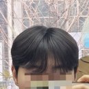 부평맨즈헤어 추천 시스루댄디 아이롱펌 바리온 맨즈헤어 본점 솔직후기