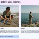 무안황토갯벌랜드(제1주차장) | 2026 무안 황토 갯벌축제 일정 및 프로그램｜장어잡기·워터밤·갯벌체험 총정리