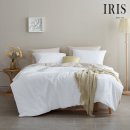 아이리스 이미지