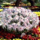 모텔정원 이미지