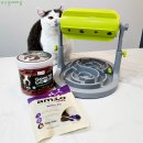 니즈더펫 이미지