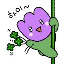 상무세차타운