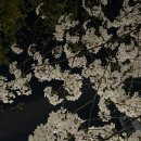 직장인 4주차 후기