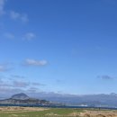 RR-1089[서부로]-하-20 | 제주 모슬포 관광여행 후기 (볼거리, 놀거리, 카페, 맛집 추천)