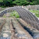 디모데농장 이미지