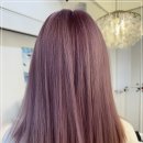 헤어볼하우스 이미지