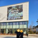 KRF 2025 렙타일포럼 in 수원메쎄 초청받아 다녀왔어요