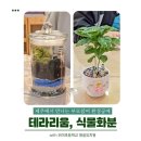 위미초등학교 병설유치원 | 환경공예로 풀어낸 생태환경교육, 제주 유치원 부모참여수업 출강