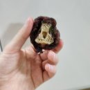 댕심당 | 마리 마루가 만족한 강아지 수제 간식 댕심당