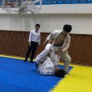 아트특공무술주짓수 네이버블로그