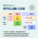 잠실 문화센터 마음트리아카데미 유아미술 음악 사회성발달 수업 후기!