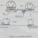 래핑기계_오버 래핑기, 스트래치 포장기 이미지