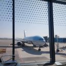 정글 게스트하우스 | 여자 혼자 제주 여행 곽지해수욕장 근처 게스트하우스 추천｜정글게스트하우스 후기