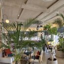 784 | 파주 서현추모공원 근처 대형 베이커리 카페 '내유784' 내돈내산 후기