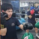 판교더복싱