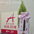 JMG 빌딩 이미지