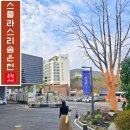 서울온천 버스정류장(11435) | 덕산 스플라스리솜 사우나 실리카 보양온천수 국내 온천여행 추천