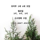 모여라, 미술세상 이미지