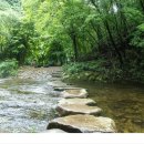 제187차 장수 방화동 생태길(덕산계곡) 이미지
