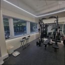 헬로헤일리 이미지