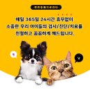 가평동물병원 이미지