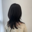 라앤헤어 - 완도군 | 라앤헤어