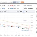생명의줄기 이미지