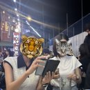 혜경호프 이미지