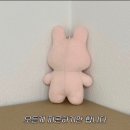 7,8월 근황 일기였는데 9월말이 되어버린 사연