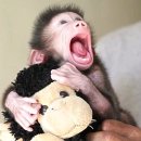 엄마품안 이미지