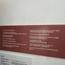 럭키글로벌 | 서울/홍대 :: 홍대 띠아트뮤지엄 럭키럭키럭키 전시회 후기 - 올여름 서울 실내데이트 추천