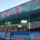 문성5호 이미지